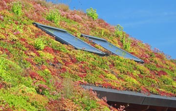 Wormleybury living roof systems